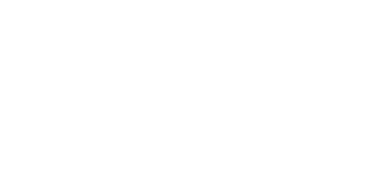 Brownies&downieS