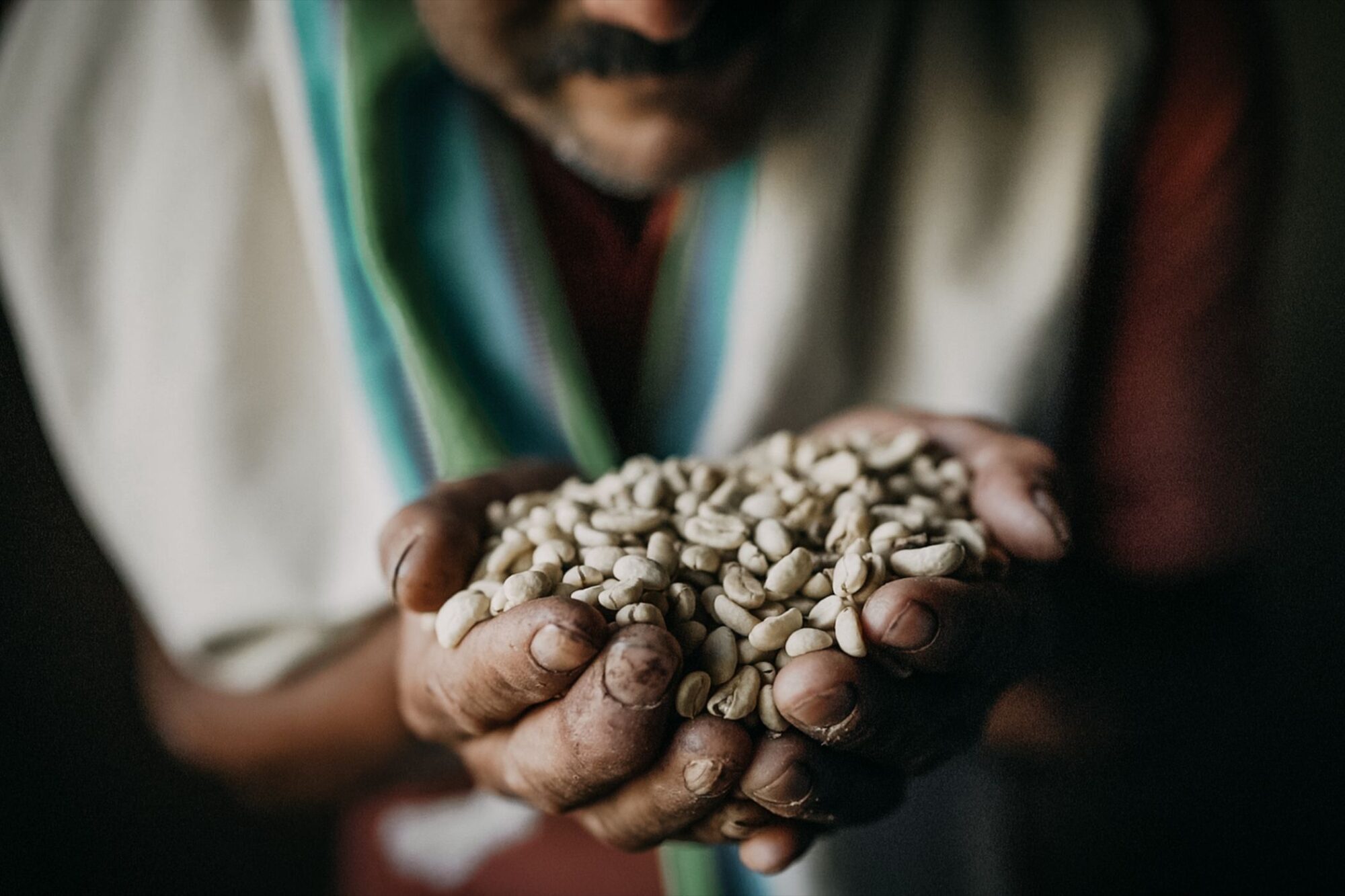 We Care Coffee - Hai Impact House